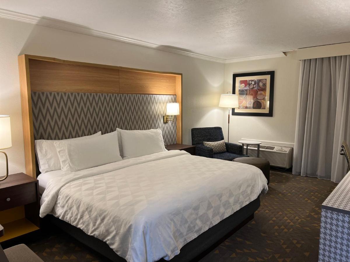 Standard King Room,1611090211:JPEG